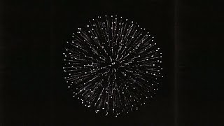 Doves - Snowden Sub. Español