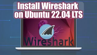 How to Install Wireshark on Ubuntu 22 04 LTS