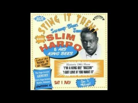 My Sweet Home Chicago [HOUSE]