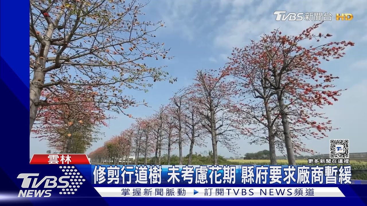 「半屏山」木棉道!網美嘆可惜 居民稱讚光亮