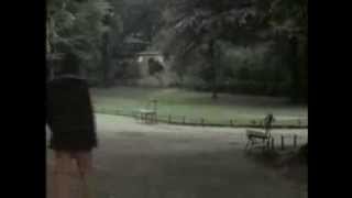 Carl Wilson- Long Promised Road