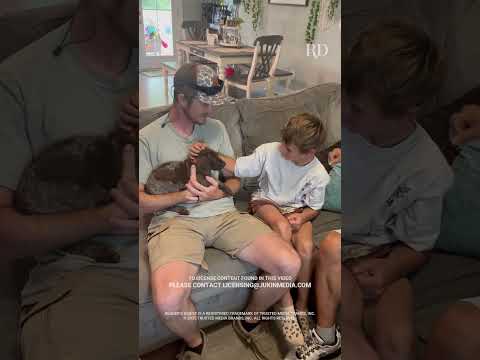 Birthday Puppy Surprise