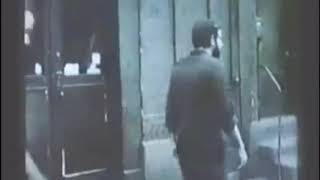 Sunflower Sutra - Alan Ginsberg 1955