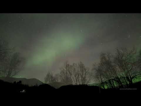 4K AURORA BOREALIS TIMELAPSE NORWAY