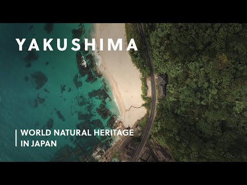 Yakushima: an Oasis of Unspoilt Nature | World Natural Heritage in Japan