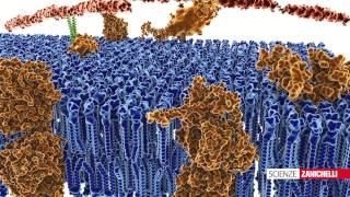 Cellule (tratto da #Natura)