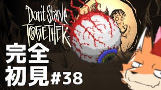 [Don't Starve Together]初見配信！難関サバイバルゲー！ここは地獄の一丁目…？その３８#vtuber