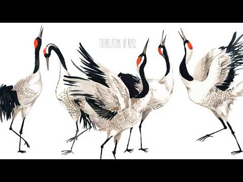 Emotional Tourist - Herode (Vinyl Edition)