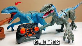 Download lagu RC Real Simulation Raptor Animal Unboxing & Testing - Chatpat toy tv mp3 Download lagu RC Real Simulation Raptor Animal Unboxing & Testing - Chatpat toy tv mp3