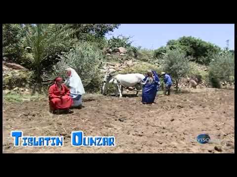 تيسلاتين اونزار