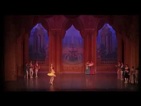 Guastaferro Arianna- Fata Canarino