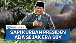 Gerindra Bantah Pembelian Sapi Kurban Prabowo Pakai APBN Langgar Aturan, Sudah Ada di Era SBY-Jokowi
