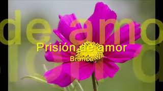 bronco prision de amor...