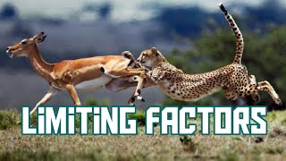 Limiting Factors