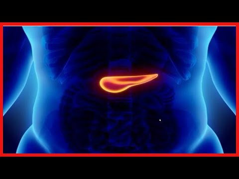 Akute Pankreatitis: Symptome, Ursachen und Behandlung