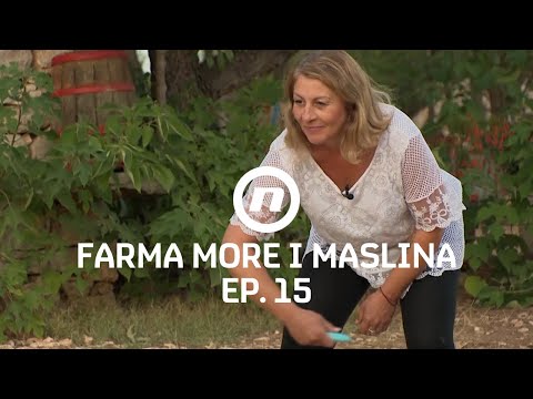 Sanja i Andrijana u borbi za imunitet - Epizoda 15 | Farma More i Maslina