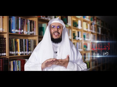 برنامج غريب القرآن | الحلقة 136 | قوله تعالى: ﴿لَا شِيَةَ فِيهَا﴾ [البقرة: 71].