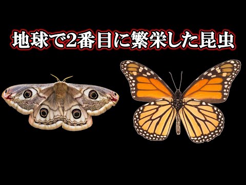 ウサギのアイコン