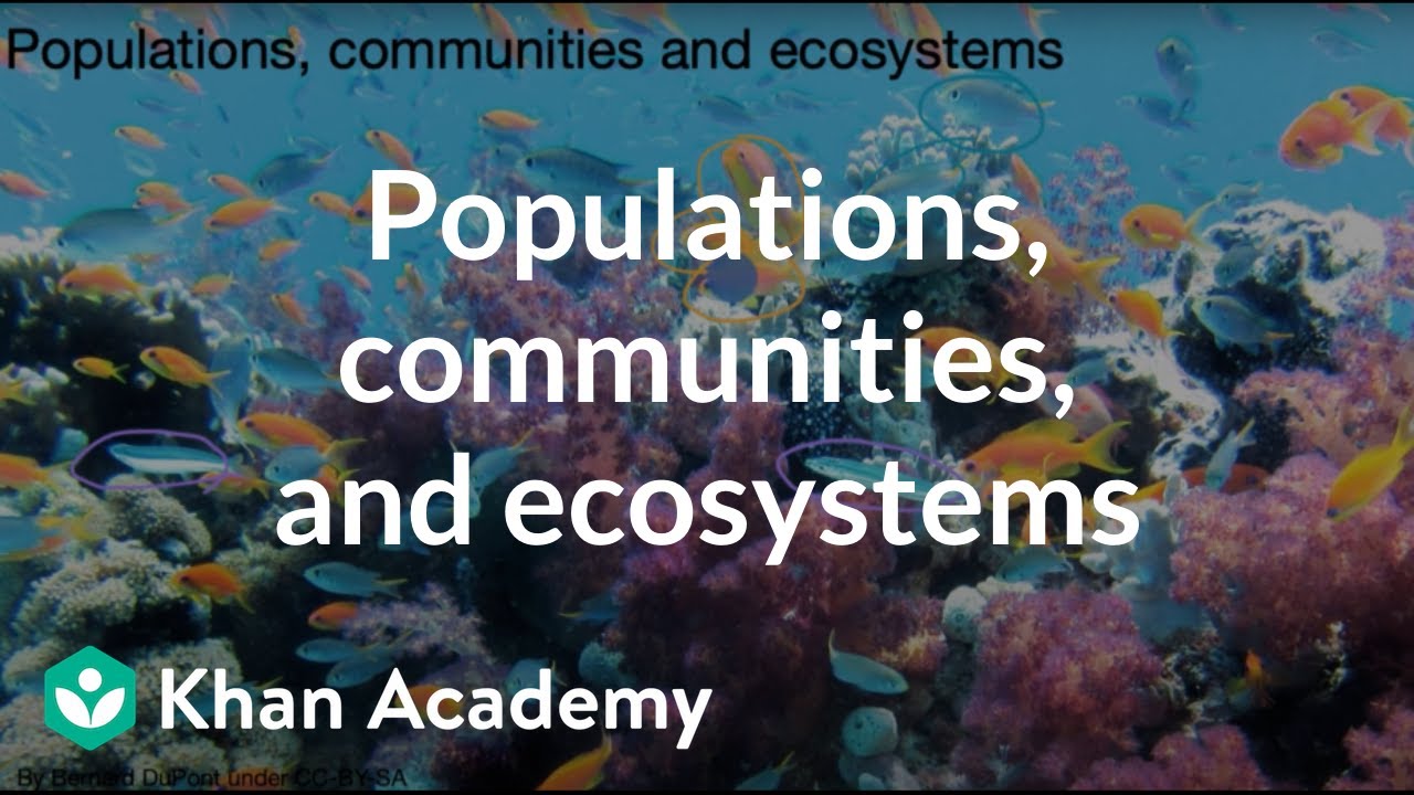 Populations, communities, and ecosystems | Middle school biology | Khan Academy