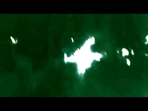 Alpha Sect - Asphyxia (swærm Remix) [FRK005] [FORKHA]