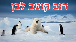 דוב קוטב לבן לילדים 🐻‍❄️ 10 עובדות מדהימות שלא ידעתם! למה הפרווה שלו שקופה?