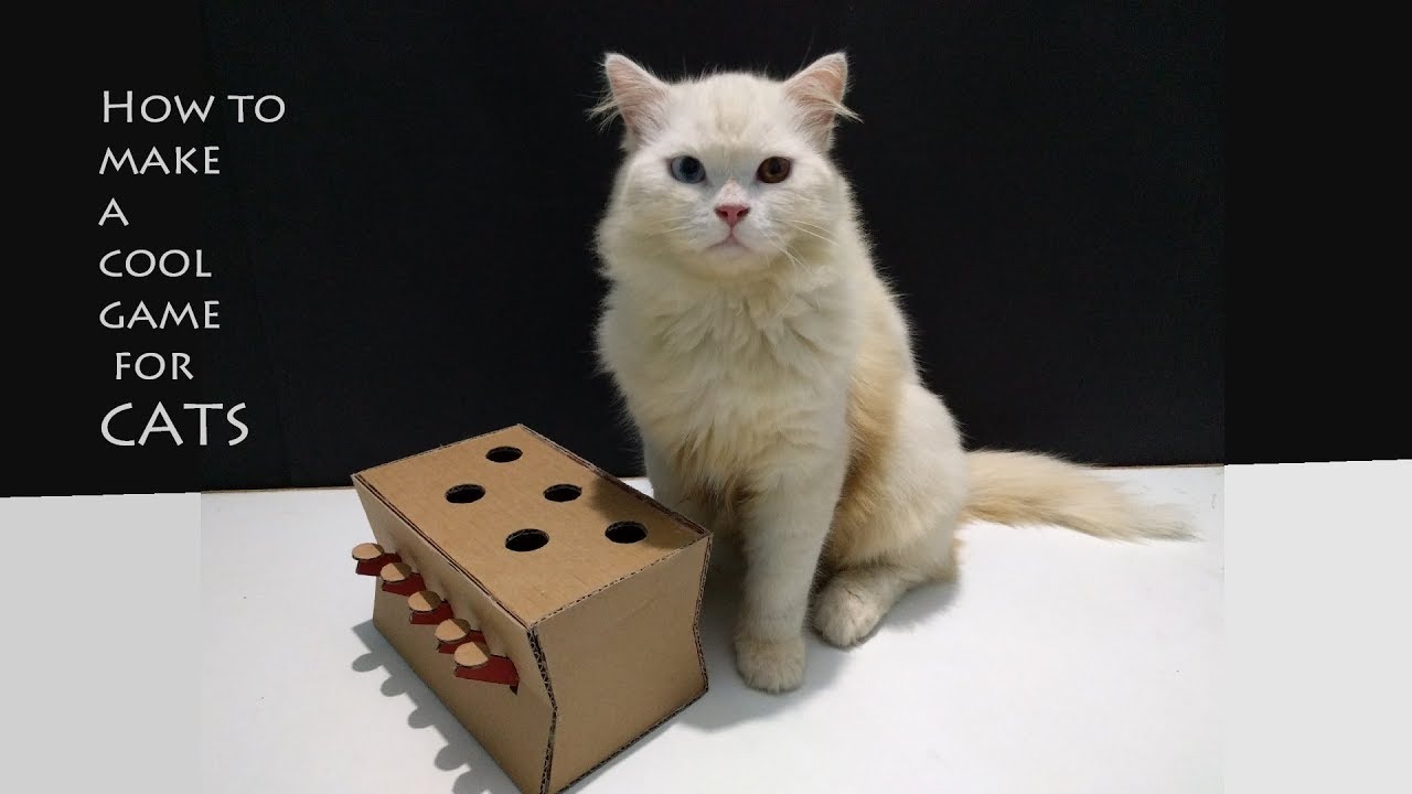 How to make a Amazing Cat Toy from Cardboard | DIY cat toy