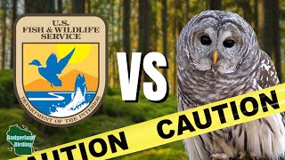 The TRUTH About the Proposed Barred Owl “Massacre”