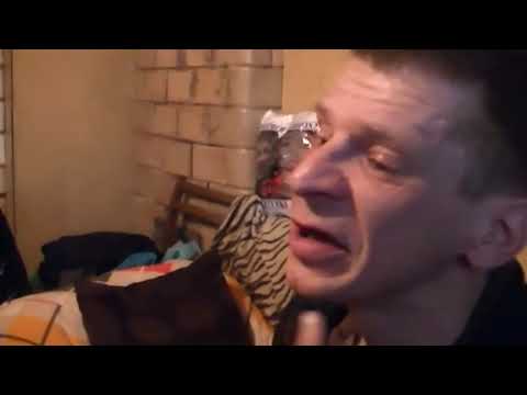 odpowiedz majora na mistrz gry