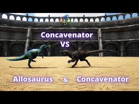 Concavenator vs concavenator and allosaurus ark battle