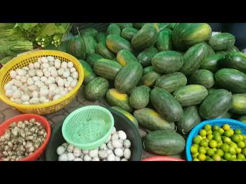 Cambodian Street Food - Walk Around My Village Food - Food Tour In The Morning