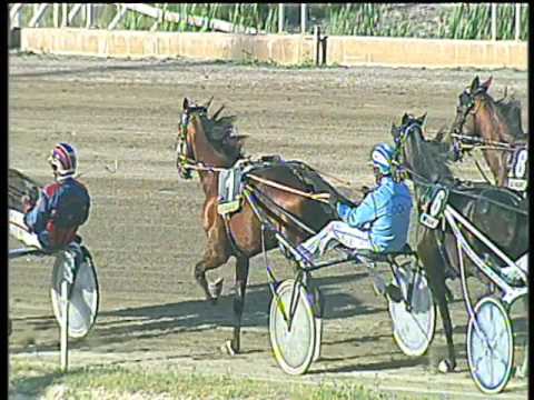 Trotto 07/05/2017 - 7ª corsa - TRIS