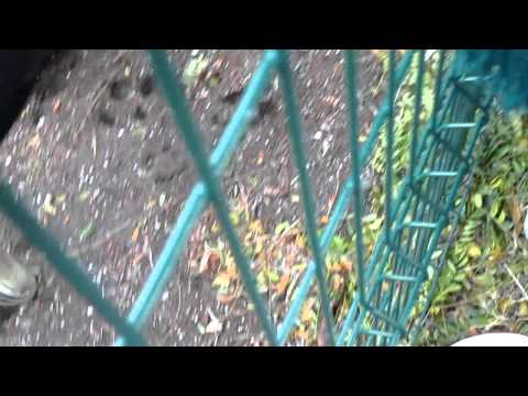 Еуфорията след Нефтохимик - Спартак Варна