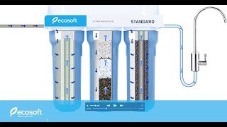 Amazon | Ecosoft 3-stage Filter (FMV3ECOUS)