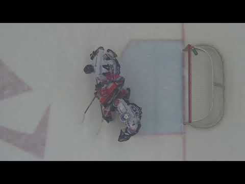 PLAY OFF 2023: Vítkovice - Hradec Králové 2:3 PP - sporné momenty