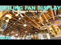 Ceiling Fan Display 2020 NCFD