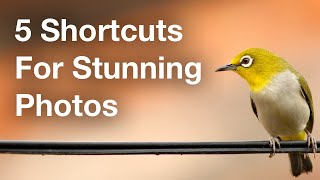 5 Shortcuts To Take Your Photos To The Next Level