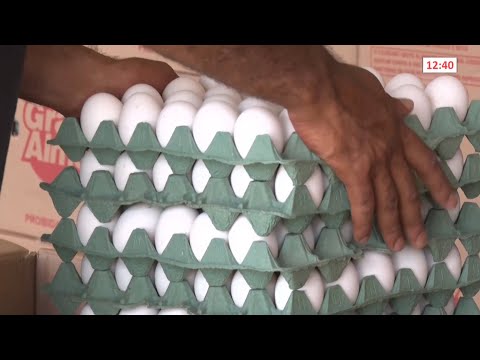 Consumo de ovos aumenta em Teresina mediante inflação generalizada 30 03 2022