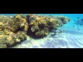 Egypt, Hurgada, Golden Five 5, GoPro Hero 3 Black ...