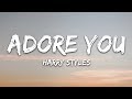 Harry Styles - Adore You (Lyrics)