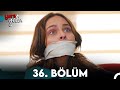 Yeni Gelin 36. Bölüm