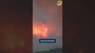 Թուրքիայում կրակը մարելու փորձի ժամանակ մարդիկ մահացել են