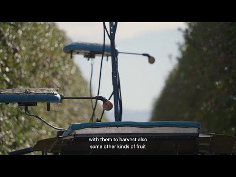 Tevel's Fruit-Picking Flying Autonomous Robots | Marco Rivoira Client Testimonial logo