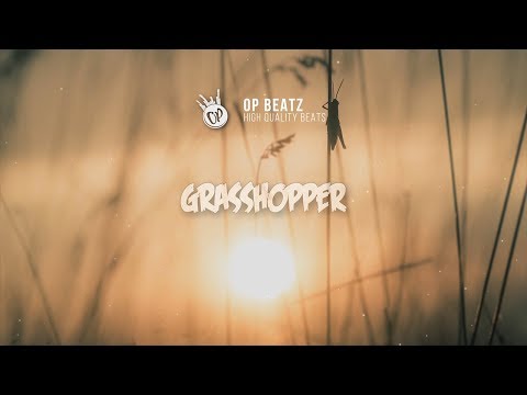 [FREE] Bouncy Storytelling Hip Hop Beat - "Grasshopper" | Free Beat | Rap/Trap Instrumental 2019