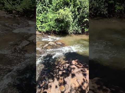 Corredeira Salto Rochedo Jandaia do Sul-PR @REDE.LEGAL.BRASIL 21/01/2026