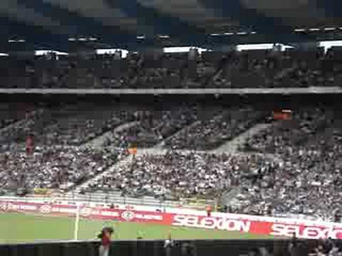 Buffalo Buffalo AA Gent