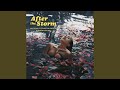 After the Storm by Kali Uchis