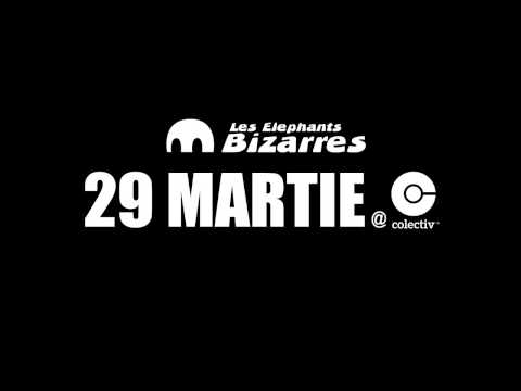 Les Elephants Bizarres cu Deliric - Lansare Zoologic (Teaser)