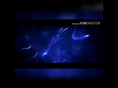 Mejor minuto de KHAN💪