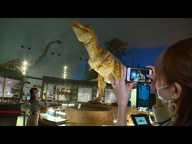 SNS映えする写真をとろう!