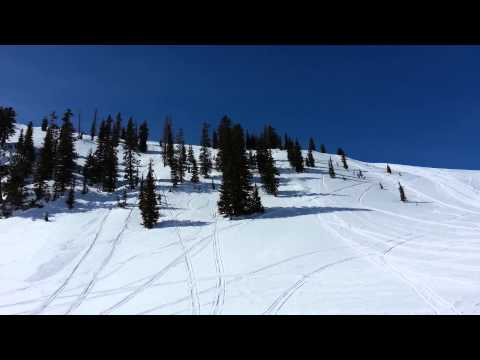 Zeb 1155 inpulse stroker 9 psi